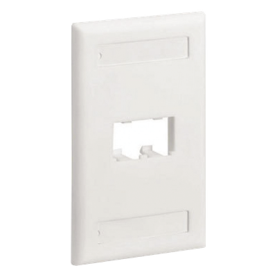 Placa de Pared Vertical / 2 Puertos Mini-Com / Diseño Inclinado / Con Espacios para Etiquetas / 2.75 x 4.5 pulgadas / Blanco