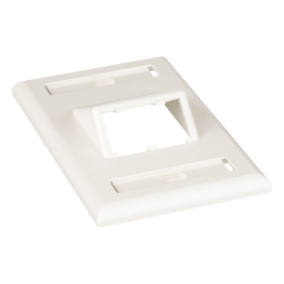 Placa de Pared Vertical / 2 Puertos Mini-Com Inclinados / ABS / Blanco Mate / Con Etiquetas