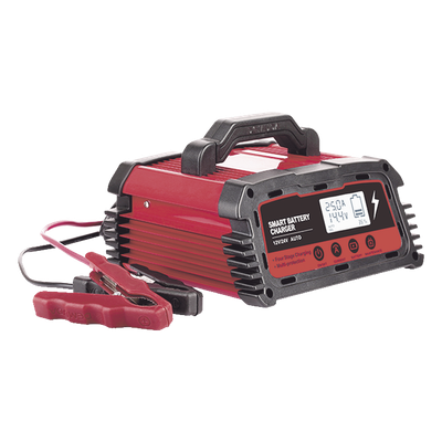 Cargador de Baterías / 12 o 24 Vcc / 25 A / Hasta 250 Ah / Display LCD / Entrada Universal AC 110-220 V