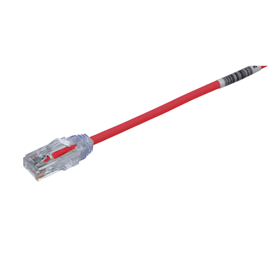 Cable de Parcheo / Cat6 / 28AWG / UTP / 6.1 m (20 pies) / Rojo / Diámetro Reducido