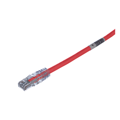 Cable de Parcheo UTP / Categoría 6 / 24 AWG / CM/LSZH / 1 ft (0.3 m) / T568A/B / 50 µin Oro