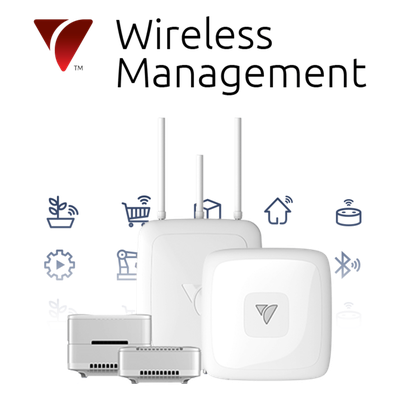 Servicio de Gestión Inalámbrica / 50 Dispositivos / Conectividad Mallada / Orquestación por Software / Múltiples Protocolos IoT / Seguridad Integral