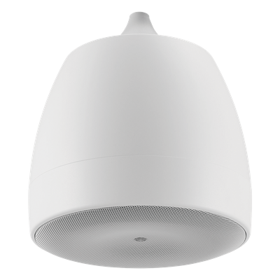 Altavoz Colgante / 6.5 in (16.5 cm) / 2 Vías / 300W / 8Ω / 70V/100V / 120° Dispersión / Blanco